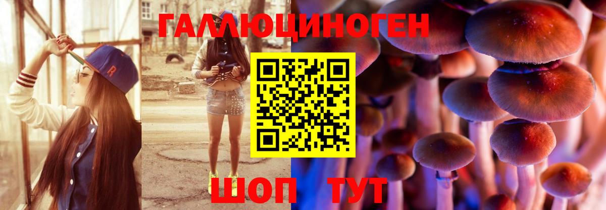 Галлюциногенные грибы мухоморы  Вход с VPN  Шахты  где купить   Псилоцибиновые грибы GOLDEN TEACHER 